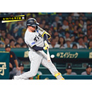 ブロマイド 8/30 T-G No.4　1森下