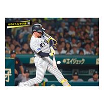 ブロマイド 8/30 T-G No.4　1森下