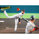 ブロマイド 8/31 T-G No.1　35才木