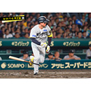 ブロマイド 8/31 T-G No.2　1森下