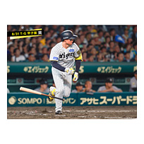 ブロマイド 8/31 T-G No.2　1森下
