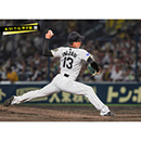 ブロマイド 8/31 T-G No.4　13岩崎