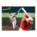 ブロマイド 9/5 T-C No.1　49大竹