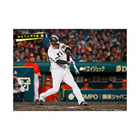 ブロマイド 9/5 T-C No.2　3大山