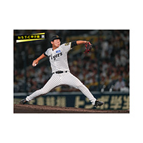 ブロマイド 9/5 T-C No.3　36畠