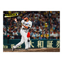 ブロマイド 9/6 T-C No.2　85ドリス