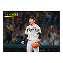 ブロマイド 9/6 T-C No.4　69石井