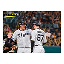 ブロマイド 9/7 T-C No.1　3大山、67高寺