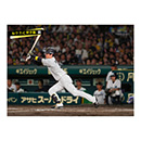 ブロマイド 9/7 T-C No.4　5近本