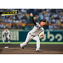 ブロマイド 9/9 T-DB No.1　41村上