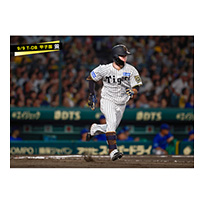 ブロマイド 9/9 T-DB No.3　51中野