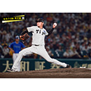 ブロマイド 9/9 T-DB No.4　14岩貞