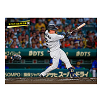 ブロマイド 9/10 T-DB No.2　2梅野