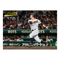 ブロマイド 9/10 T-DB No.4　40井坪