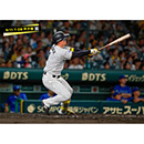 ブロマイド 9/11 T-DB No.2　1森下