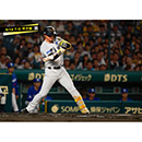 ブロマイド 9/14 T-D No.2　1森下