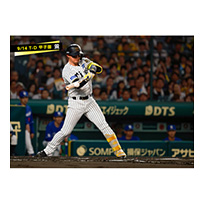 ブロマイド 9/14 T-D No.2　1森下