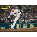 ブロマイド 9/14 T-D No.5　26椎葉