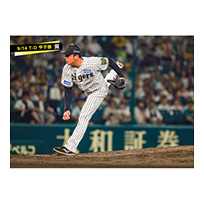 ブロマイド 9/14 T-D No.5　26椎葉