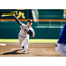 ブロマイド 9/15 T-D No.1　42ネルソン