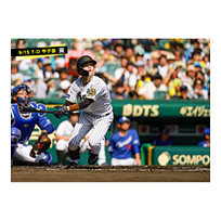 ブロマイド 9/15 T-D No.2　51中野