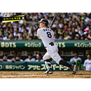 ブロマイド 9/15 T-D No.3　8佐藤（輝明）