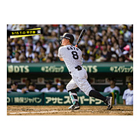 ブロマイド 9/15 T-D No.3　8佐藤（輝明）