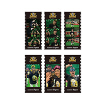 【T-SHOP限定】2025 JERA セ・リーグ優勝記念 ビールかけフォトグレイ風アクリル板★受注生産品★