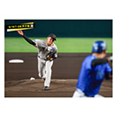 ブロマイド 9/19 T-DB No.1　31早川