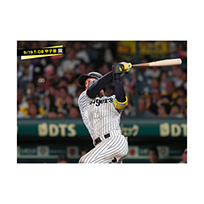 ブロマイド 9/19 T-DB No.3　1森下