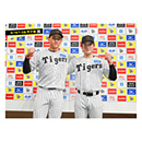 31 早川太貴 - 阪神タイガース公式オンラインショップ T-SHOP