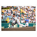 ブロマイド 9/20 T-DB No.1　24工藤