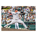 ブロマイド 9/20 T-DB No.2　26椎葉