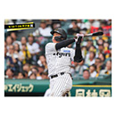 ブロマイド 9/20 T-DB No.4　3大山