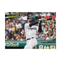 ブロマイド 9/20 T-DB No.4　3大山