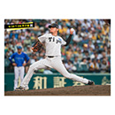 ブロマイド 9/20 T-DB No.5　14岩貞