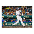 ブロマイド 9/26 T-D No.3　12坂本