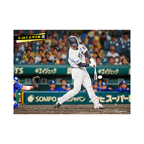 ブロマイド 9/26 T-D No.3　12坂本