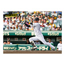 ブロマイド 9/27 T-D No.1　5近本