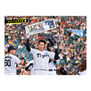 ブロマイド 9/27 T-D No.3　3大山