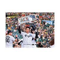 ブロマイド 9/27 T-D No.3　3大山
