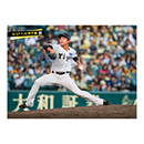 ブロマイド 9/27 T-D No.5　46島本