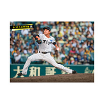 ブロマイド 9/27 T-D No.5　46島本