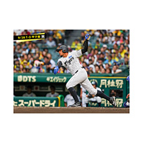 ブロマイド 9/28 T-D No.2　95ヘルナンデス