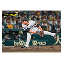 ブロマイド 10/16 T-DB No.1　36畠