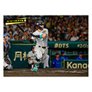 ブロマイド 10/16 T-DB No.2　8佐藤（輝明）