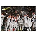 ブロマイド 10/16 T-DB No.4　1森下