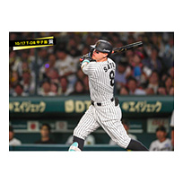 ブロマイド 10/17 T-DB No.2　8佐藤（輝明）