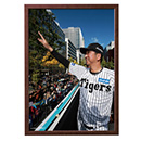 【T-SHOP限定】月刊タイガース表紙写真パネル 2026年1月号★受注生産品★