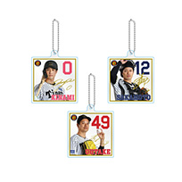 【SALE】（全16種）シークレットアクリルサイン色紙チャーム